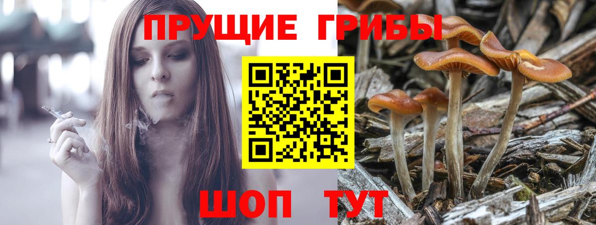 Псилоцибиновые грибы Magic Shrooms Кисловодск