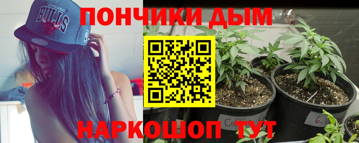 Конопля VHQ  Конопля конопля  Вход с VPN  Кисловодск 